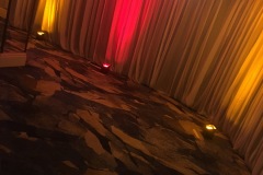 IMG_8911